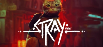 Stray